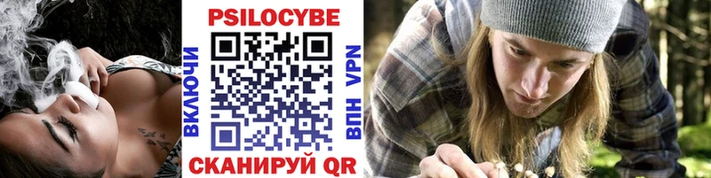 Галлюциногенные грибы прущие грибы  Тырныауз 